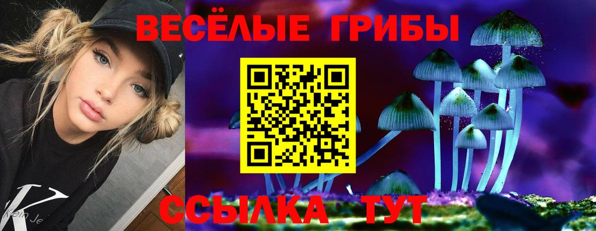 Галлюциногенные грибы GOLDEN TEACHER  Вход с VPN  Туапсе 